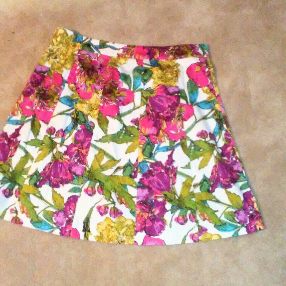 PLUS Lane Bryant Skirt (126)